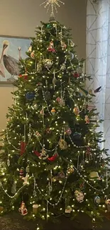 Decorated Christmas tree with lights and ornaments.