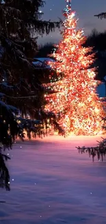 Brightly lit Christmas tree in a snowy landscape at night.