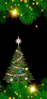 Decorated Christmas tree with star atop and green branches with lights on dark background.