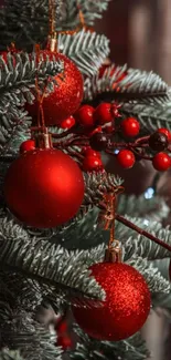 Festive Christmas tree with red ornaments and green pine branches.