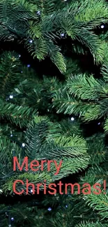 Vibrant green Christmas tree branches with 'Merry Christmas' text.