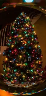 Christmas tree with vibrant lights in festive decor.