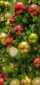 Festive Christmas tree adorned with red, gold, and green baubles.