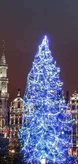 Festive Christmas tree in city square at night, glowing with bright blue lights.