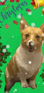 Festive Christmas wallpaper with corgi.