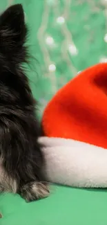 Festive dog with Santa hat on green background with cheerful atmosphere.