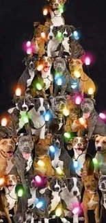 Playful dogs forming a Christmas tree shape with colorful lights on black background.