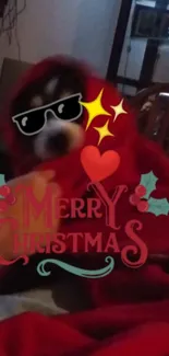 Festive dog in red blanket with Merry Christmas text.