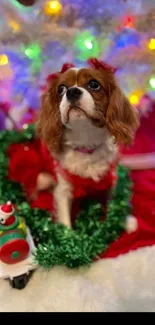 Adorable dog in Christmas decor with colorful lights.