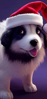 Adorable dog in Santa hat with purple background.