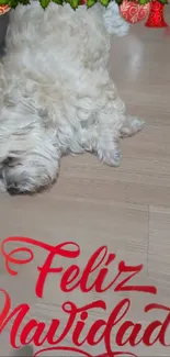 Fluffy dog lounging with Feliz Navidad text in Christmas theme.