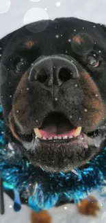 Festive dog wearing blue garland in snow.