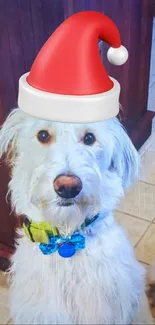 Dog wearing Santa hat on tiled floor.