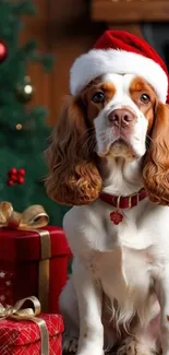 Dog in a Santa hat with Christmas gifts.