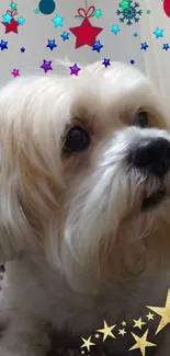 Cute dog with festive stars and holiday decorations.