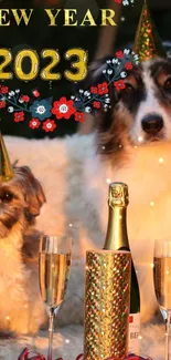 Two dogs in party hats with champagne, celebrating.