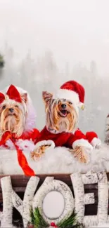 Two adorable dogs in Santa outfits with a Christmas backdrop.