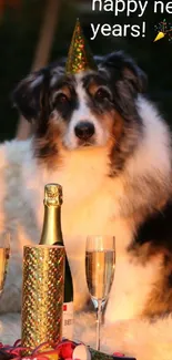 Dogs wearing party hats celebrating New Year on a cozy couch.