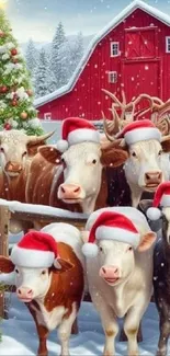 Cows wearing Santa hats by a red barn and Christmas tree in snow.