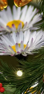 Festive wallpaper with daisies and Christmas decorations.