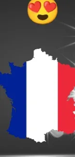 Map of France with flag and sparkling tree.