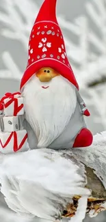 Red hatted gnome with gifts on snowy branch.