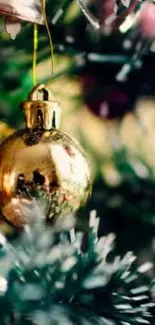 Golden Christmas ornament on a green pine tree, creating a festive holiday scene.