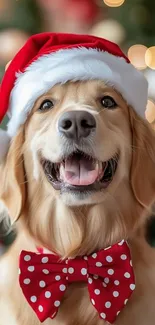 Golden retriever with Santa hat and bow tie, festive holiday theme.