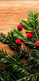 Pine branches and red berries on wood background