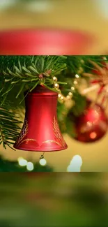 Red Christmas bell on green pine branch wallpaper.