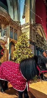 Small horse in festive red coat inside ornate building.