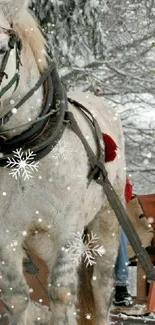 Snowy white horse in festive winter scene