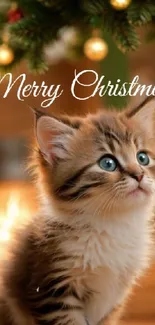 Adorable kitten under Christmas tree with warm festive glow.