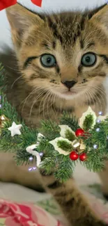 Cute kitten framed by a festive holiday wreath.