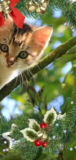 Festive kitten peeking through a Christmas wreath amid greenery.