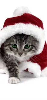 Kitten in red Santa hat mobile wallpaper.