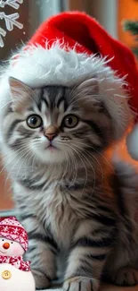 Cute kitten wearing Santa hat by frosty window.