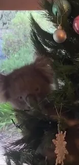 Koala nestled in a decorated Christmas tree with ornaments.