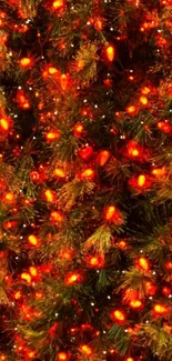 Festive wallpaper with glowing Christmas lights in red and orange.