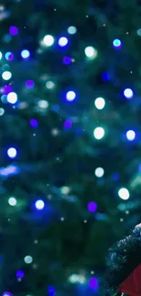 Wallpaper featuring festive blue and white holiday lights.