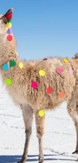 Colorful llama with decorations on snowy plain.