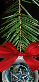 Decorative Christmas ornament on evergreen branch with red ribbon.