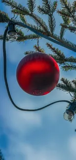 Red ornament hanging on a pine tree with a blue sky background.