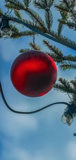 Red Christmas ornament on tree branch with blue sky background.