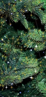 Festive pine branches with lights for mobile wallpaper