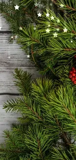 Evergreen pine branches with red berries on wooden background.