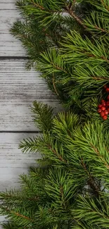 Festive pine branches and red berries on rustic wood background.