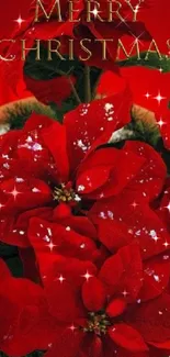 Vibrant poinsettia wallpaper with 'Merry Christmas' text.