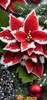 Vibrant poinsettia surrounded by festive ornaments and snow.