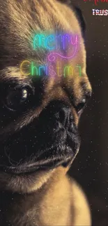 Pug with Merry Christmas neon on wallpaper.